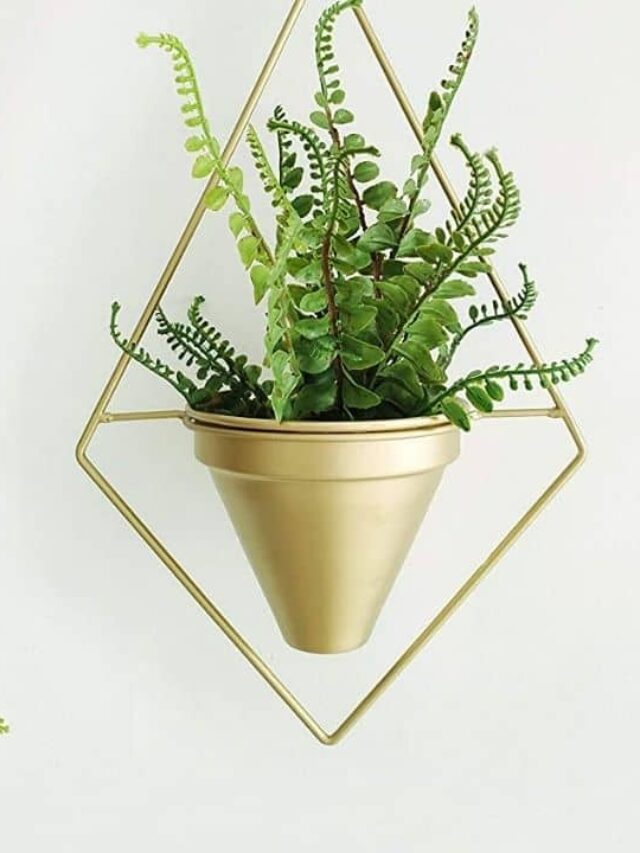 cropped-Decoracao-com-plantas.jpg