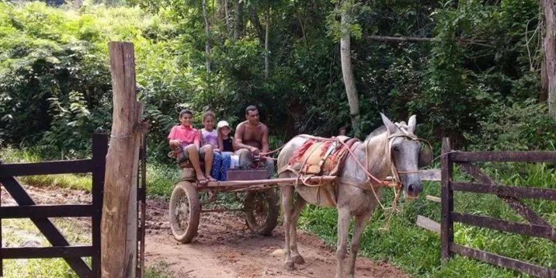 Curiosidades da vida na roça