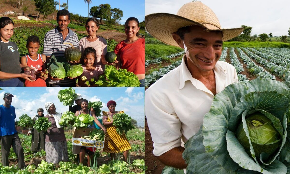 Agricultura familiar e segurança alimentar