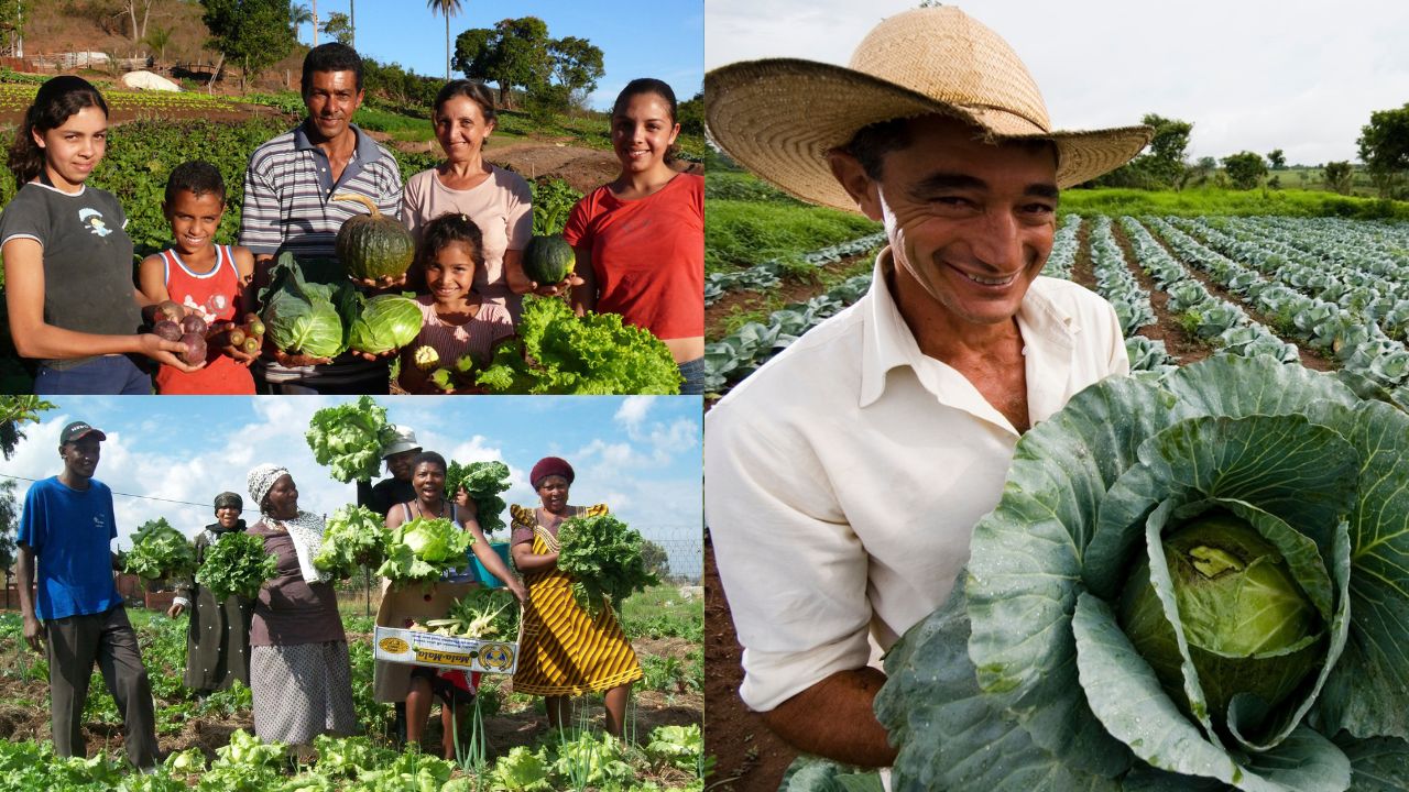 Agricultura familiar e segurança alimentar