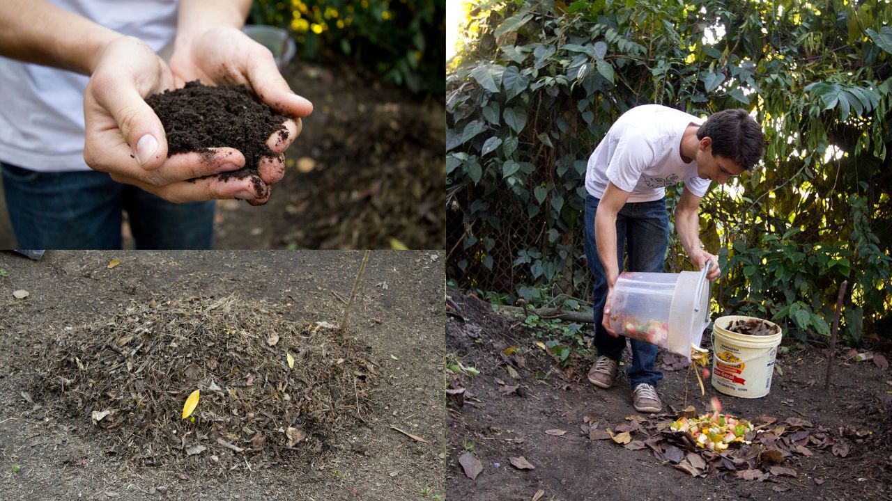 Benefícios da compostagem para a agricultura