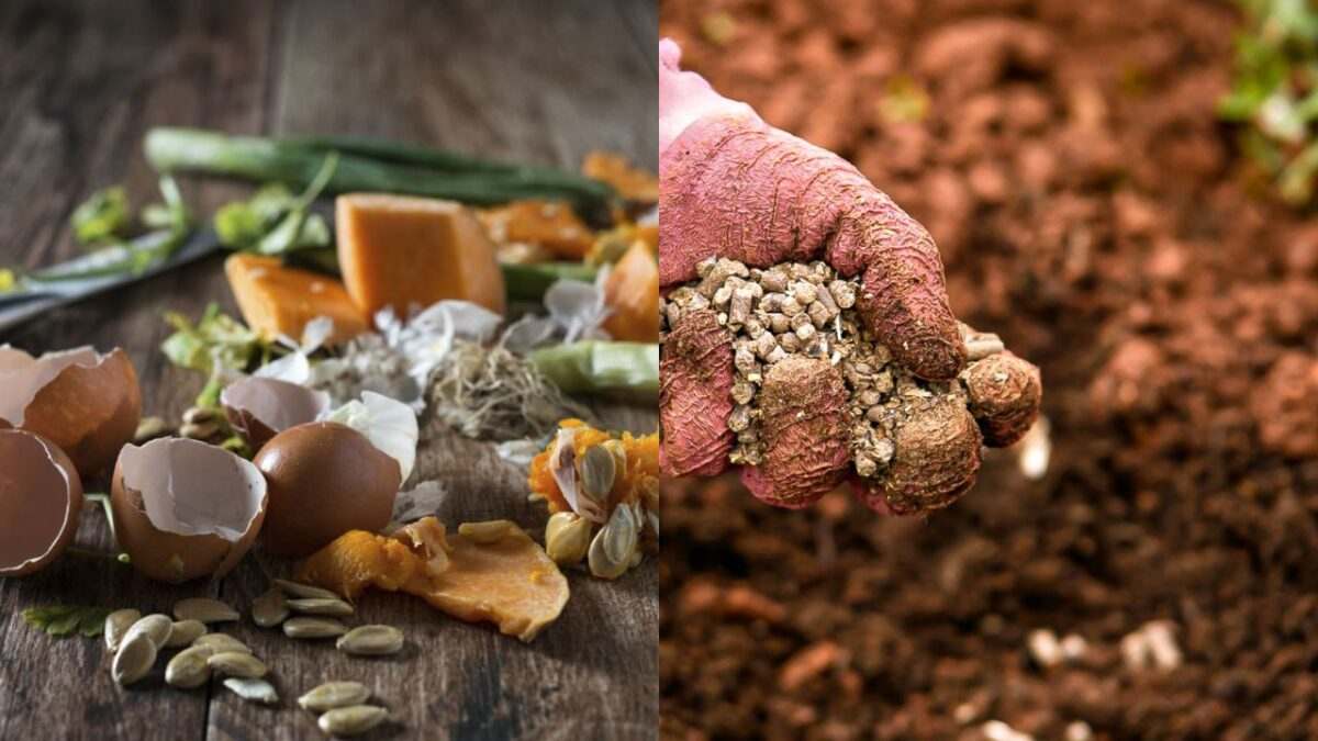 Fatos a serem considerados antes de usar fertilizantes