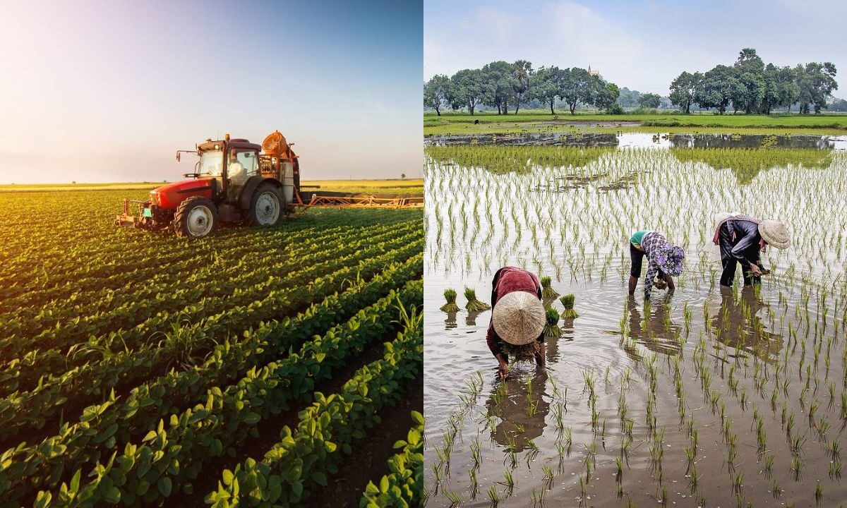 História da Agricultura
