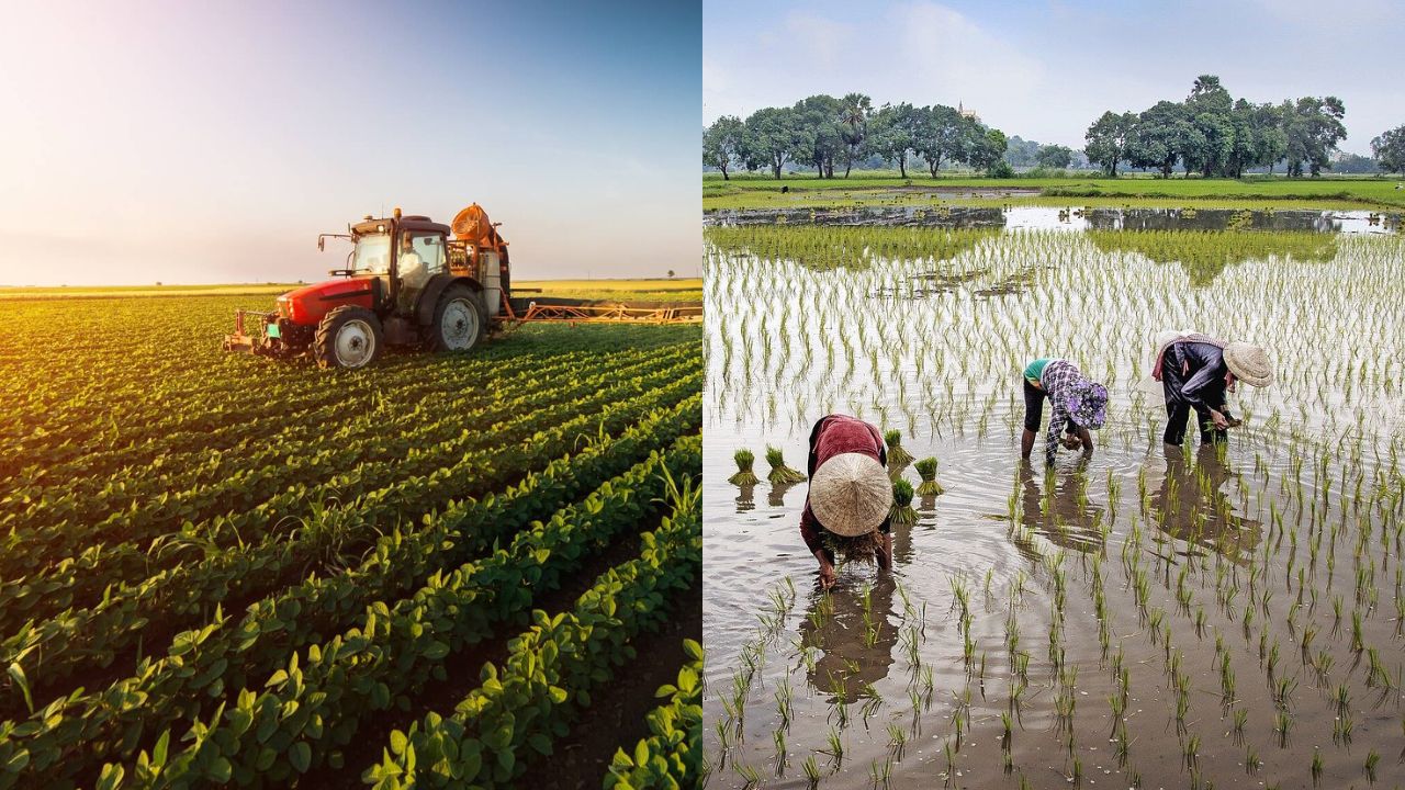 História da Agricultura