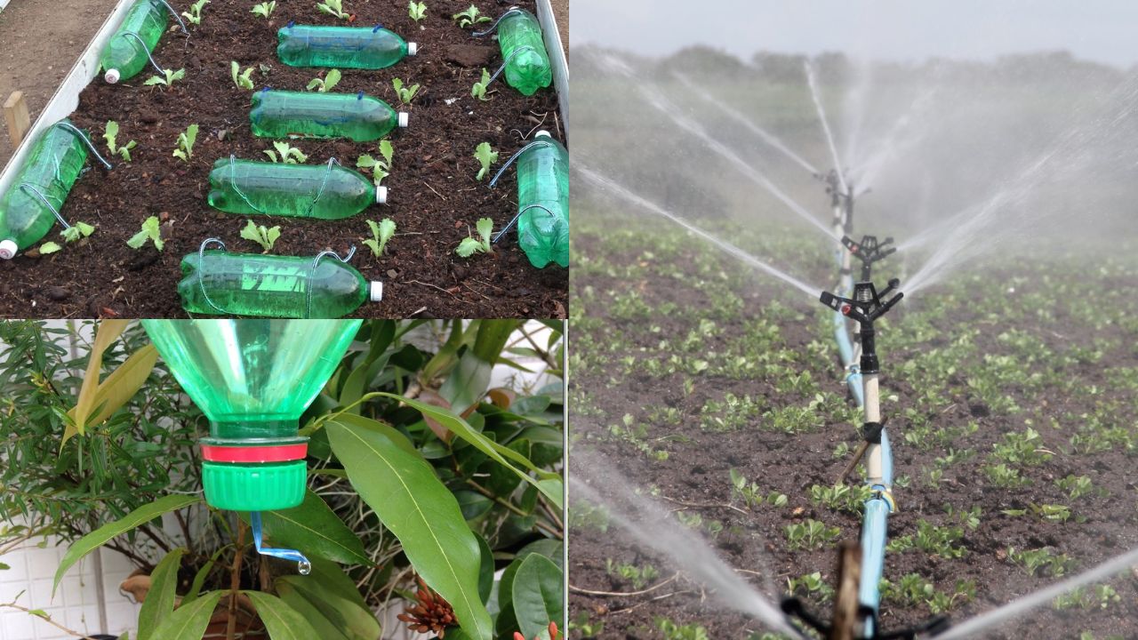 Importância da Irrigação na Agricultura