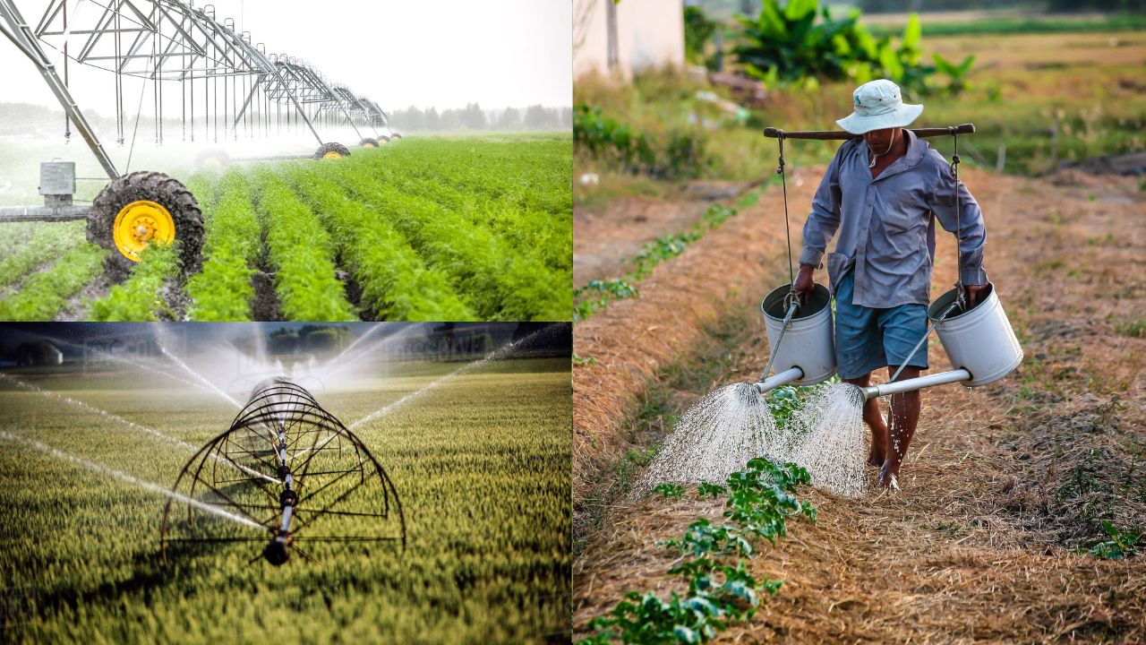 Importância da irrigação na produção agrícola