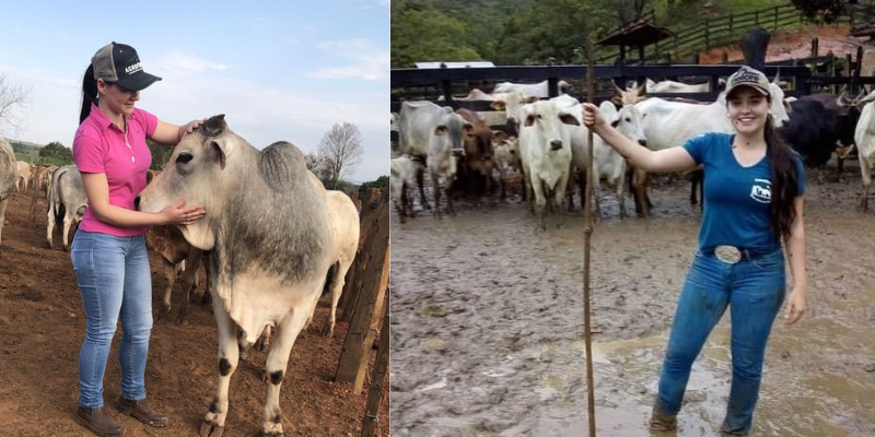 Como ganhar dinheiro com criação de gado na fazenda