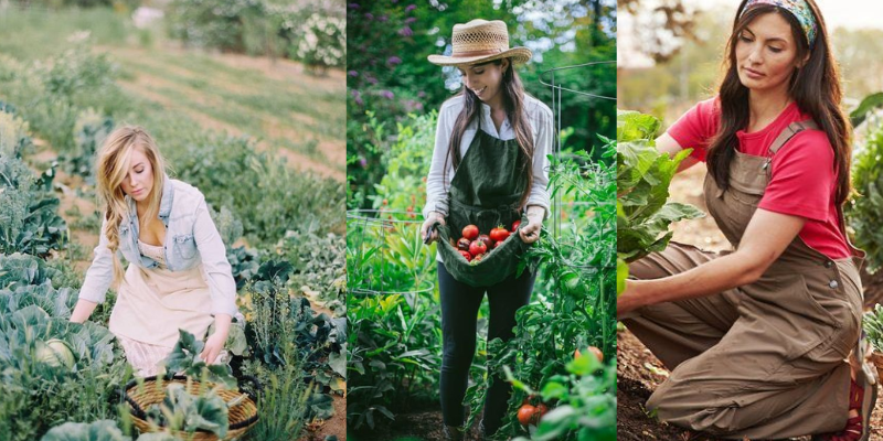 Agricultura Sustentável: Práticas para preservação ambiental