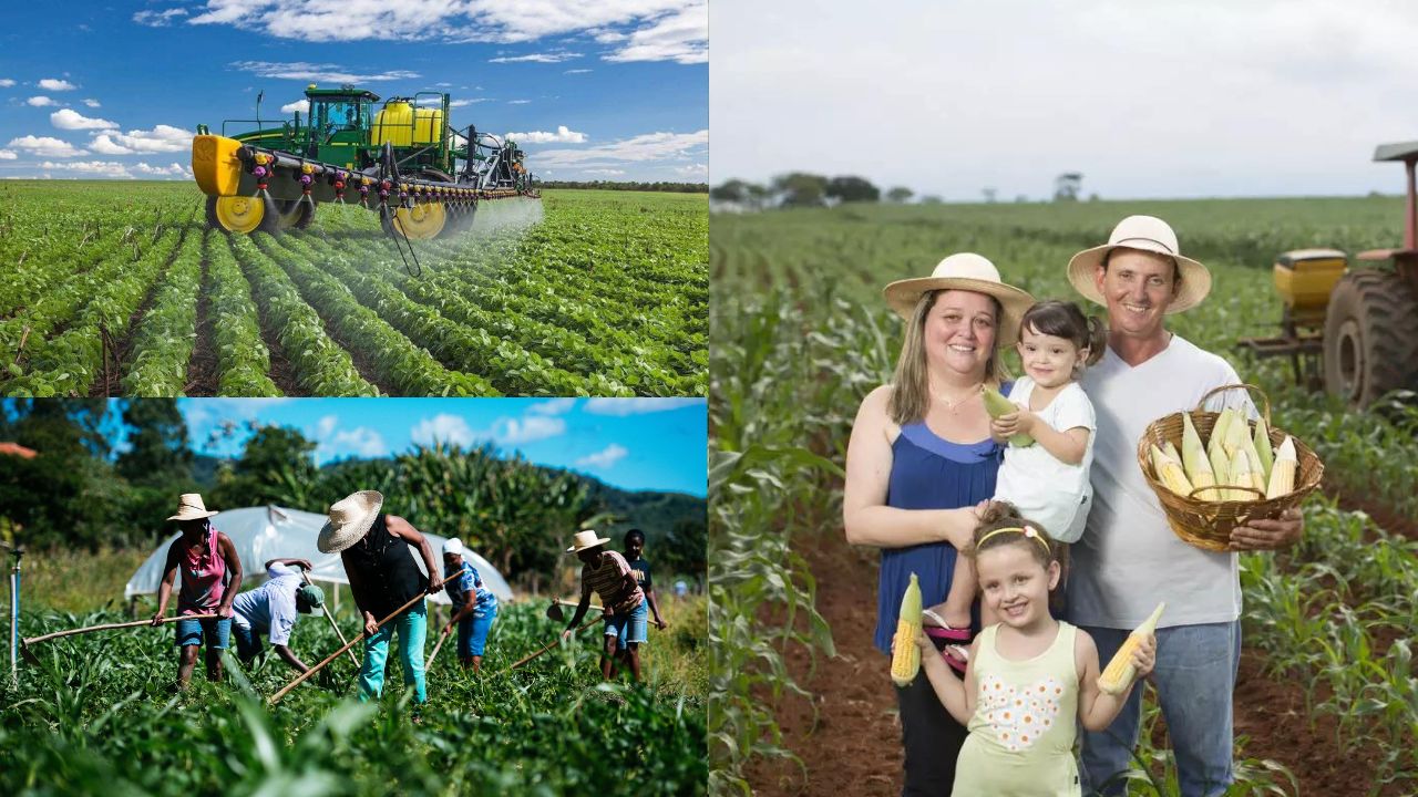 Roça e mundo agro