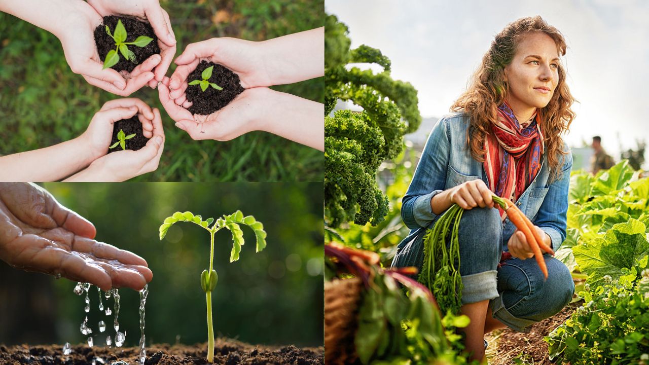 Sustentabilidade na agricultura