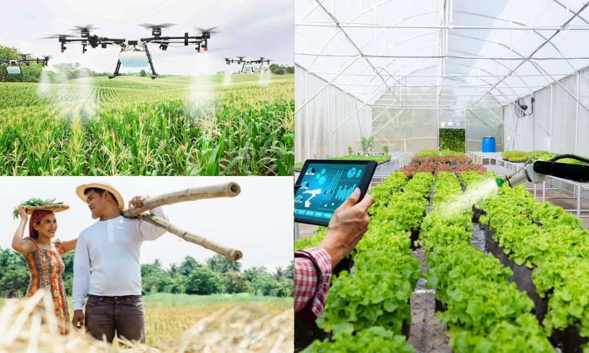 Tecnologia na agricultura