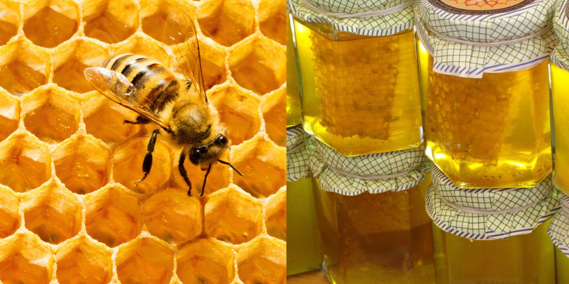 Tudo sobre o mel de abelha