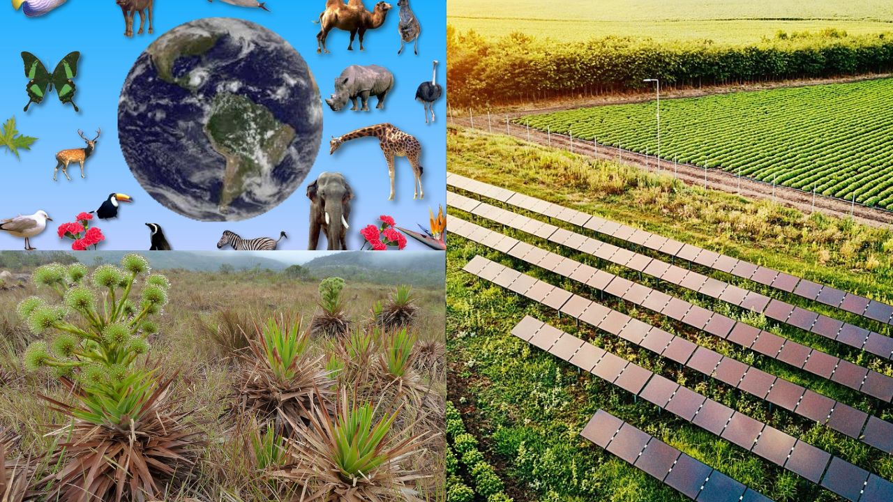 A importância da biodiversidade na agricultura