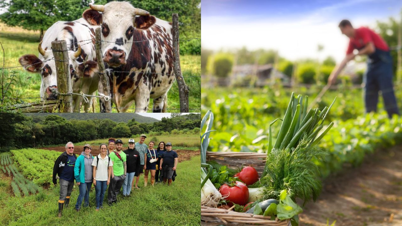 Agricultura e Desenvolvimento Rural