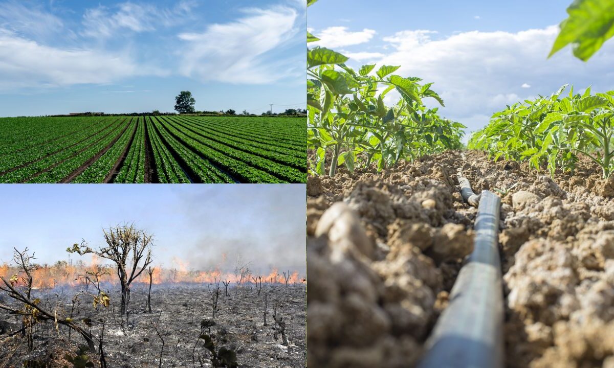 Agricultura e Mudança Climática