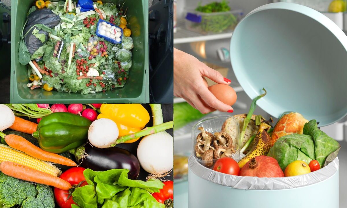 Como reduzir o desperdício de alimentos em casa