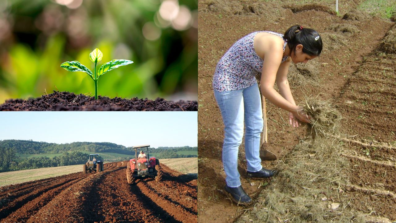 Conservação do Solo na Agricultura