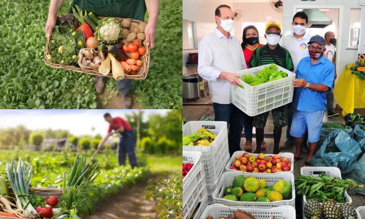 Desafios da produção de alimentos orgânicos no Brasil