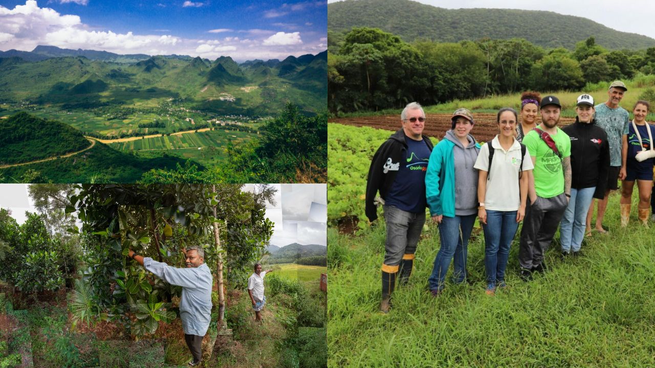 Gestão da propriedade rural