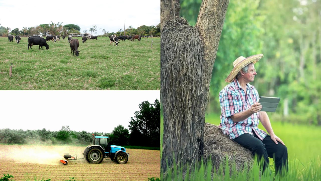 Impacto da Tecnologia no Agronegócio