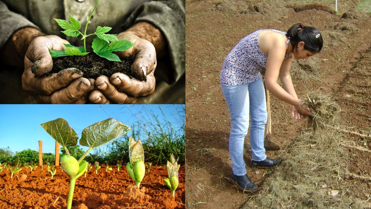 Importância da conservação do solo na agricultura