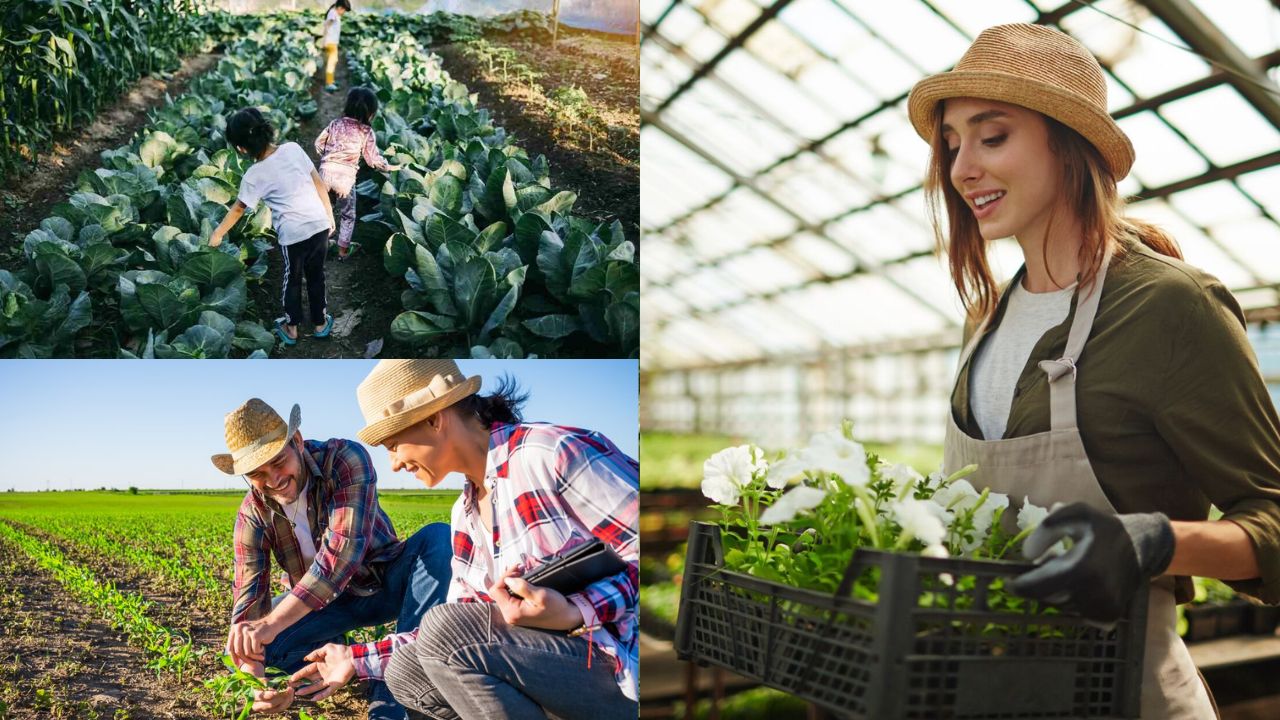 Importância da diversificação de culturas na agricultura familiar