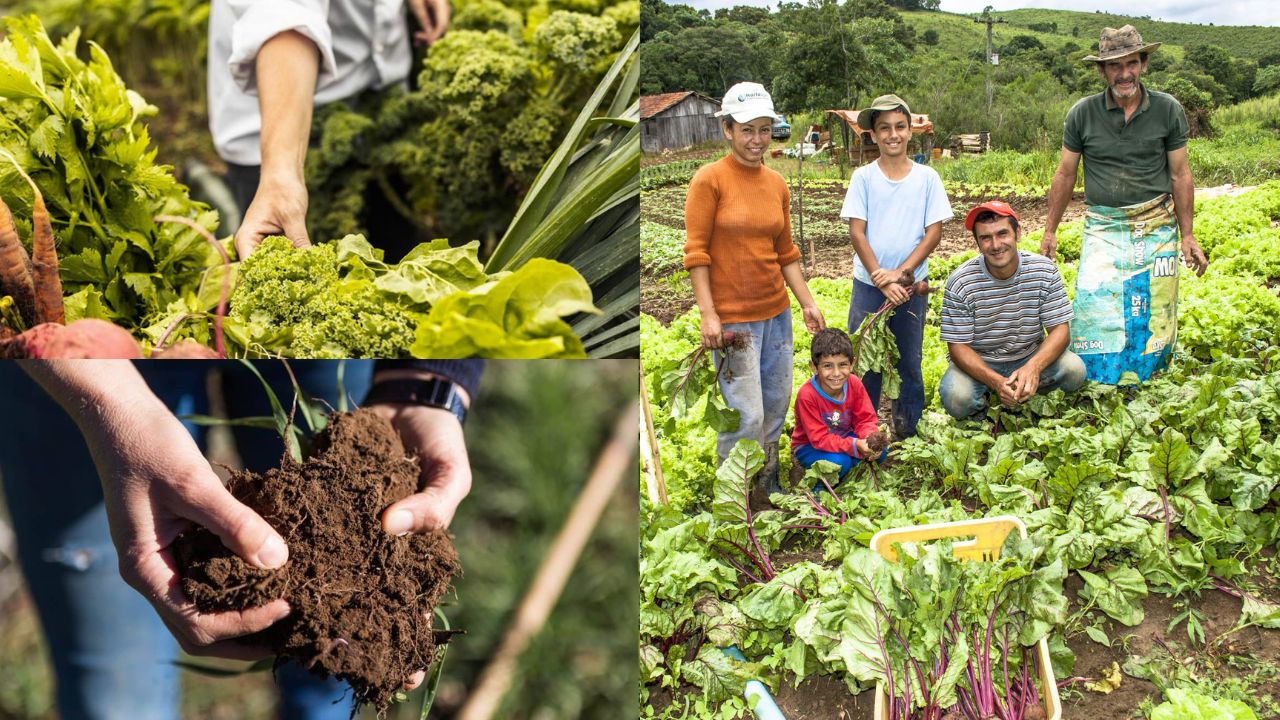 Importância da agricultura familiar