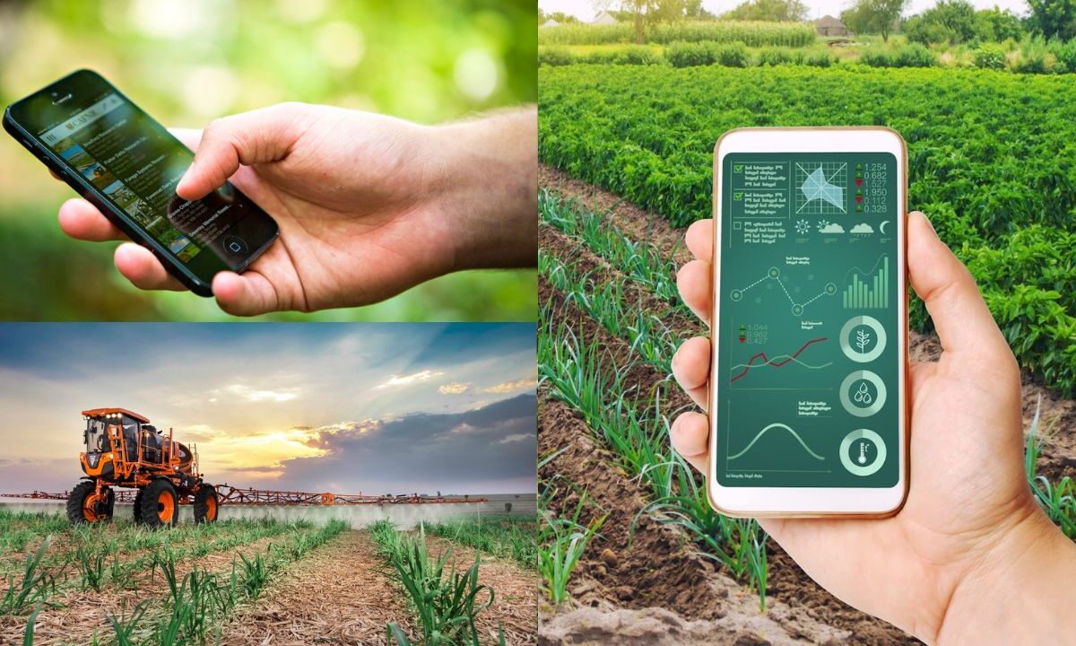 Tecnologia está revolucionando a agricultura