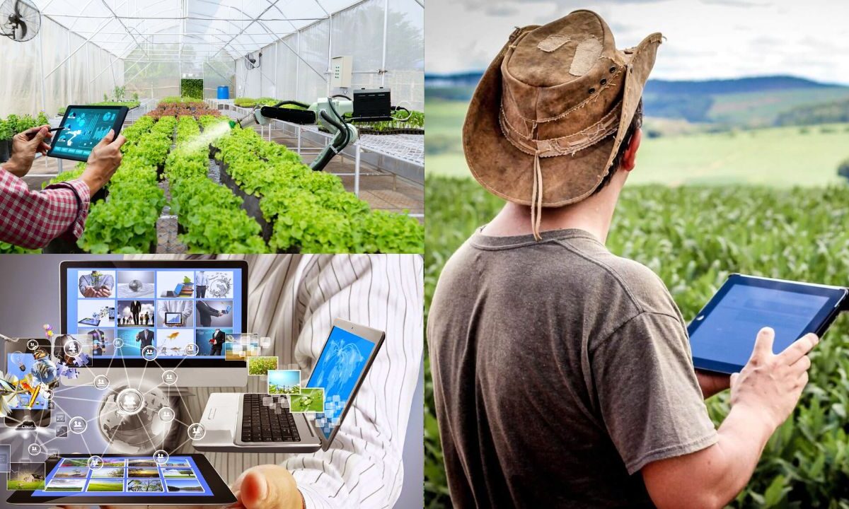 Tecnologias digitais na agricultura