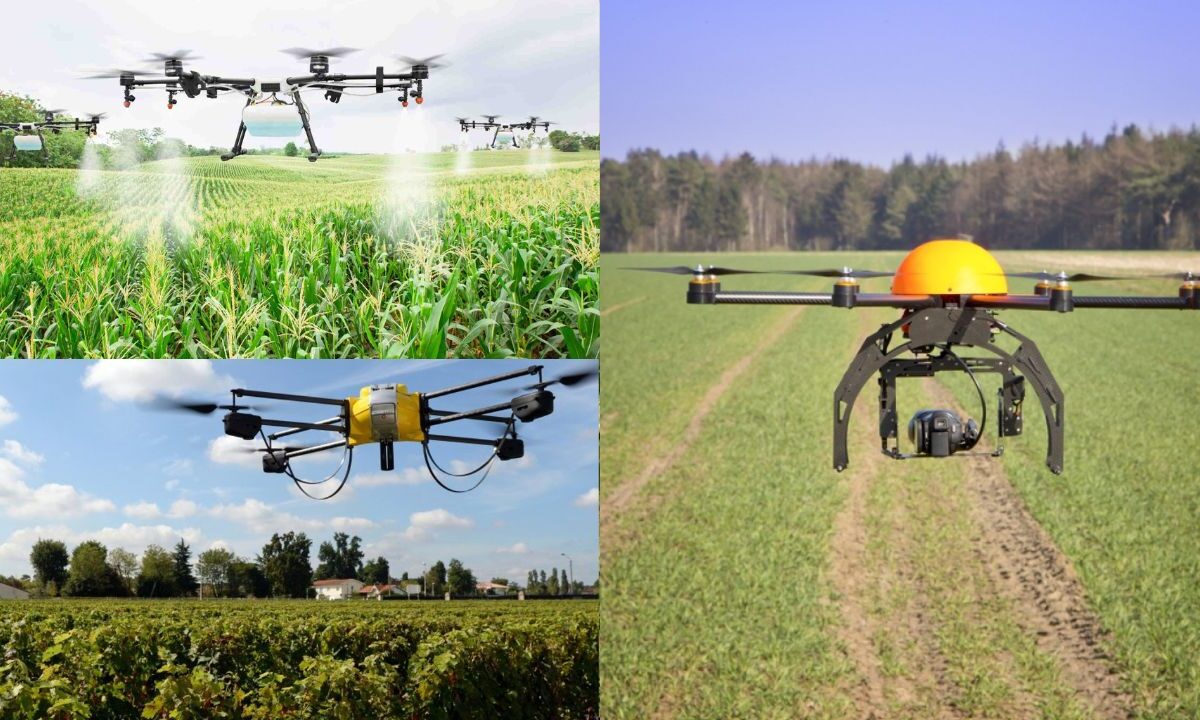 Utilização de Drones na Agricultura