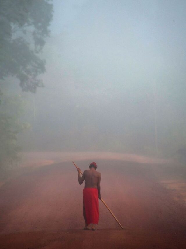 Cinco Fatos Surpreendentes Sobre a Amazônia