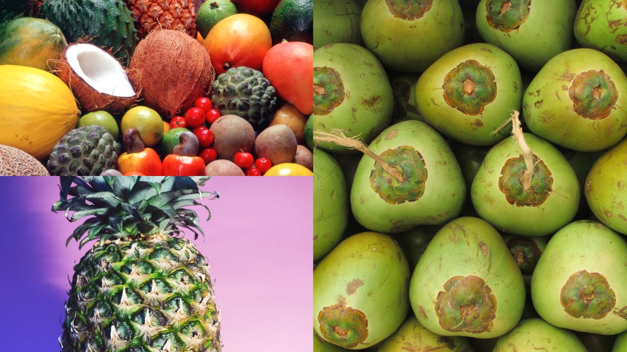 Frutas tropicais brasileiras