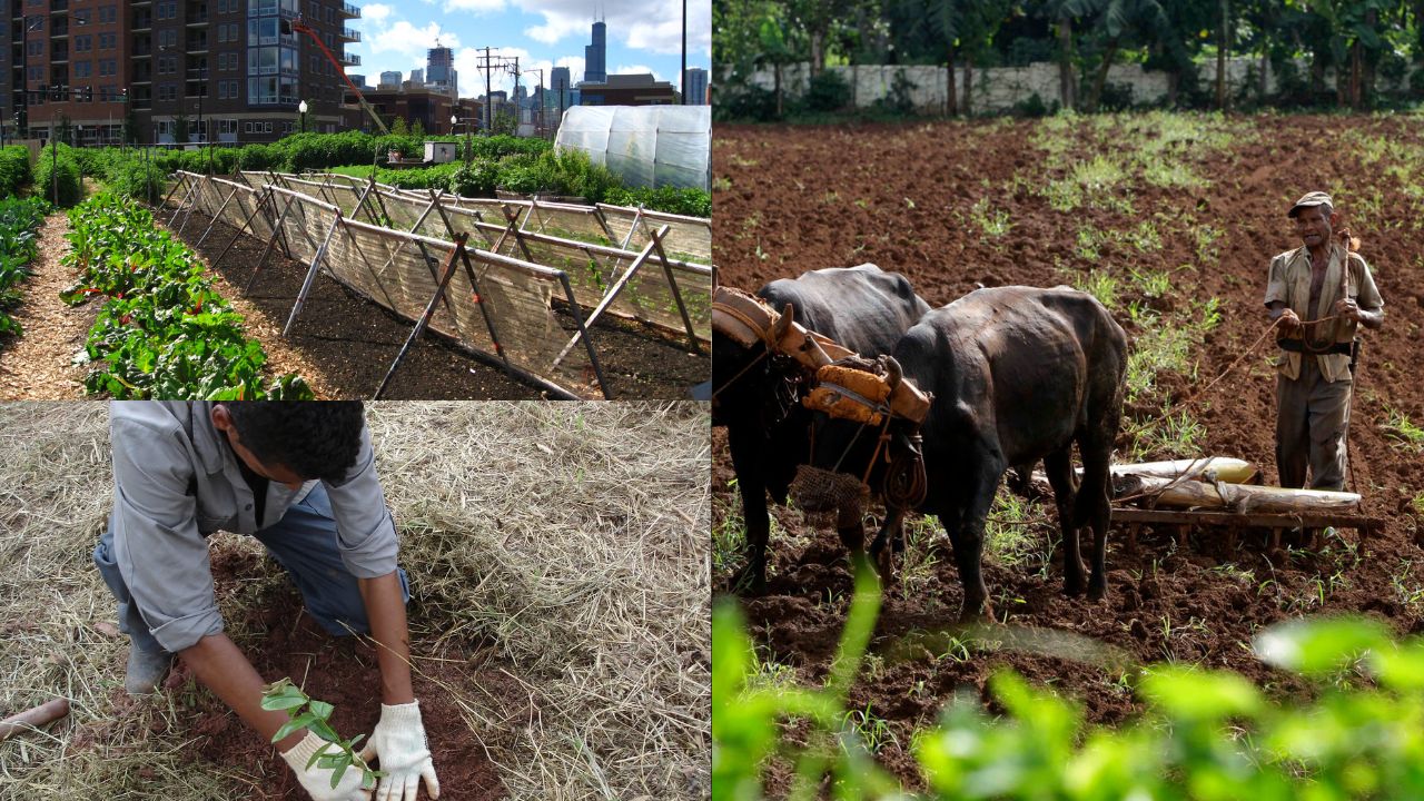 Sustentabilidade na agricultura