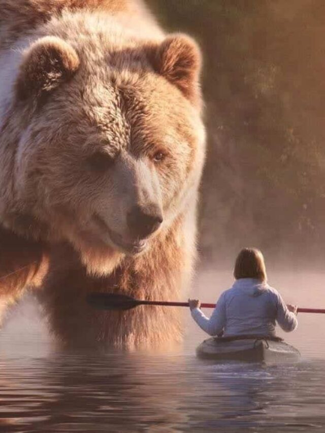 Os maiores animais do mundo