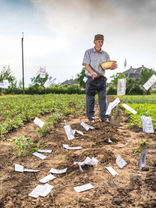 Fórmula do Sucesso no Agro Aprenda com os Grandes Empreendedores