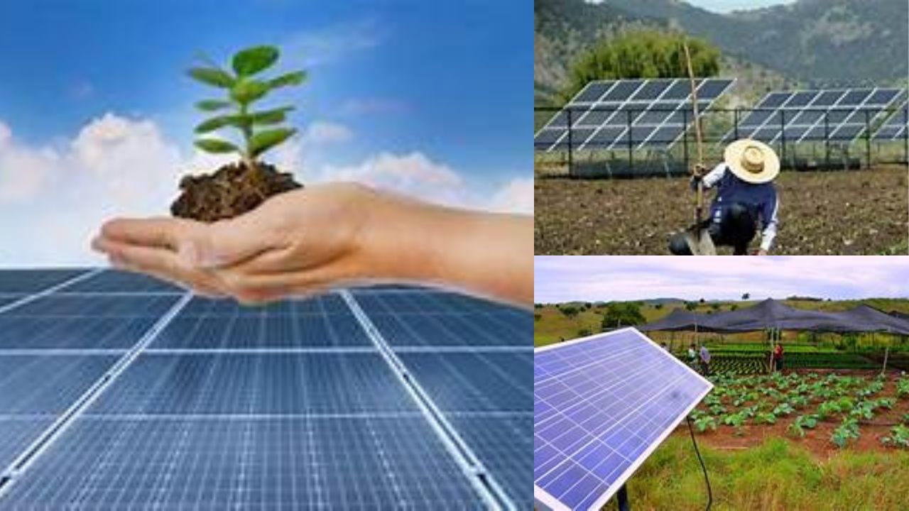 Energia Solar na Agricultura