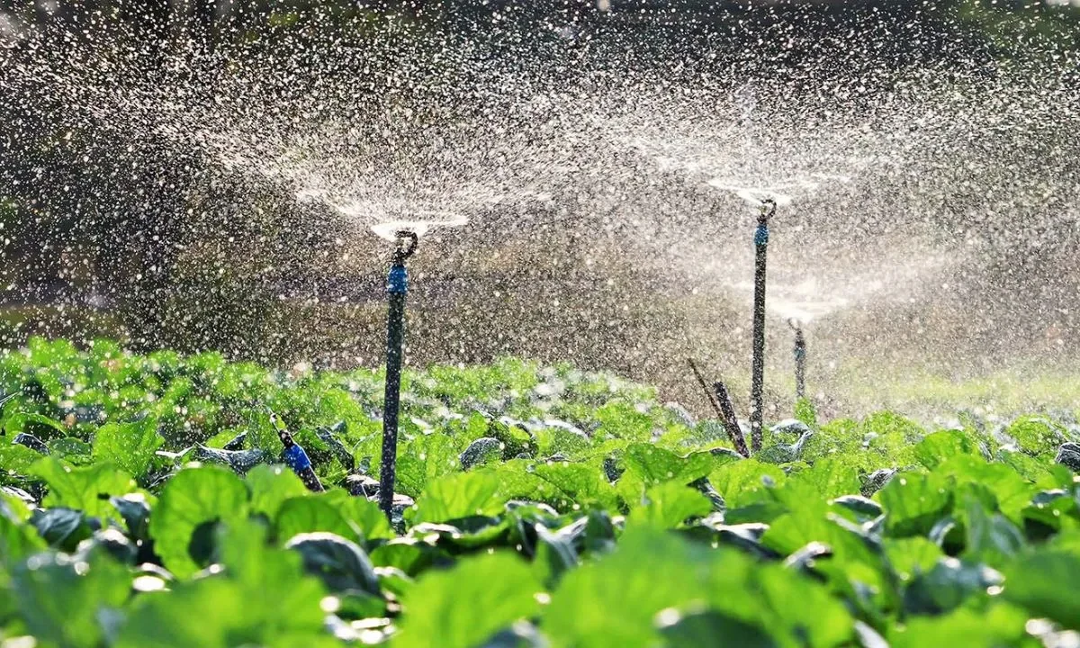 Técnicas de Irrigação para Economia de Água
