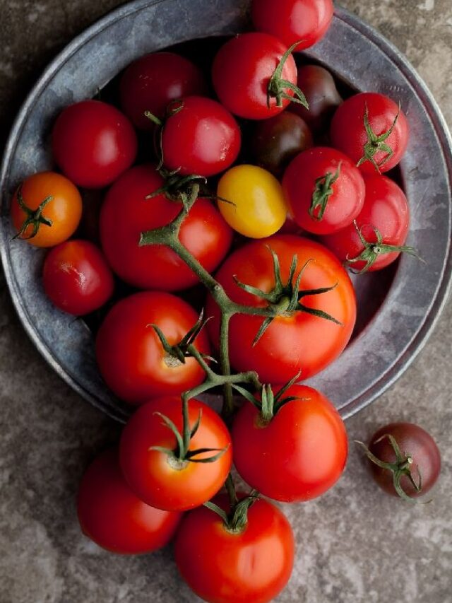 benefícios do tomate para a saúde