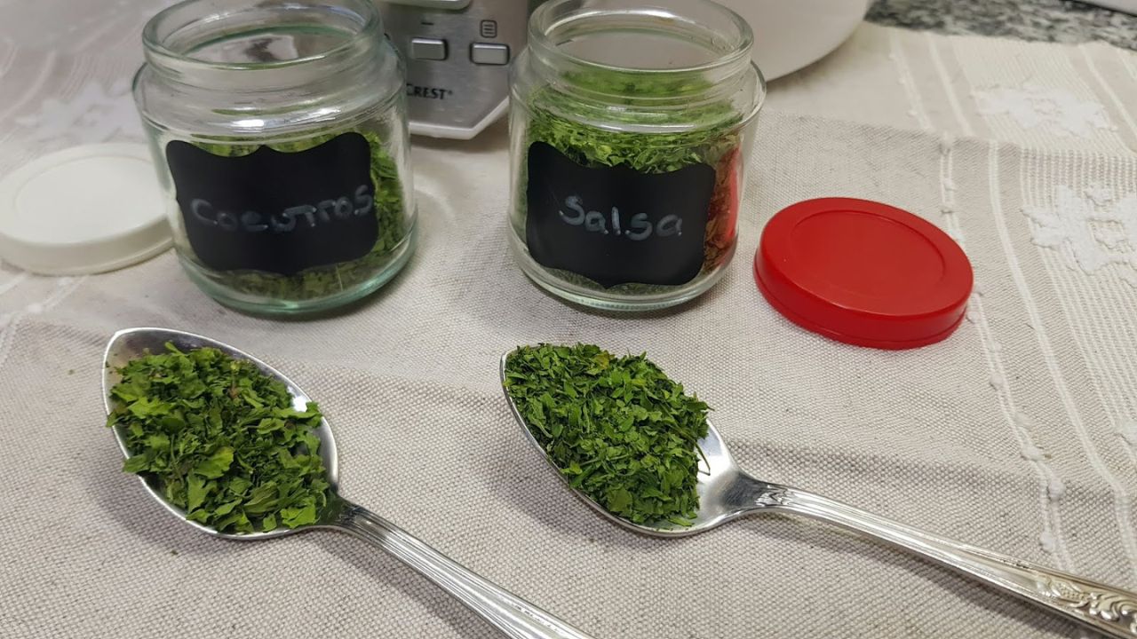 Benefícios de Cultivar Ervas Aromáticas em Casa