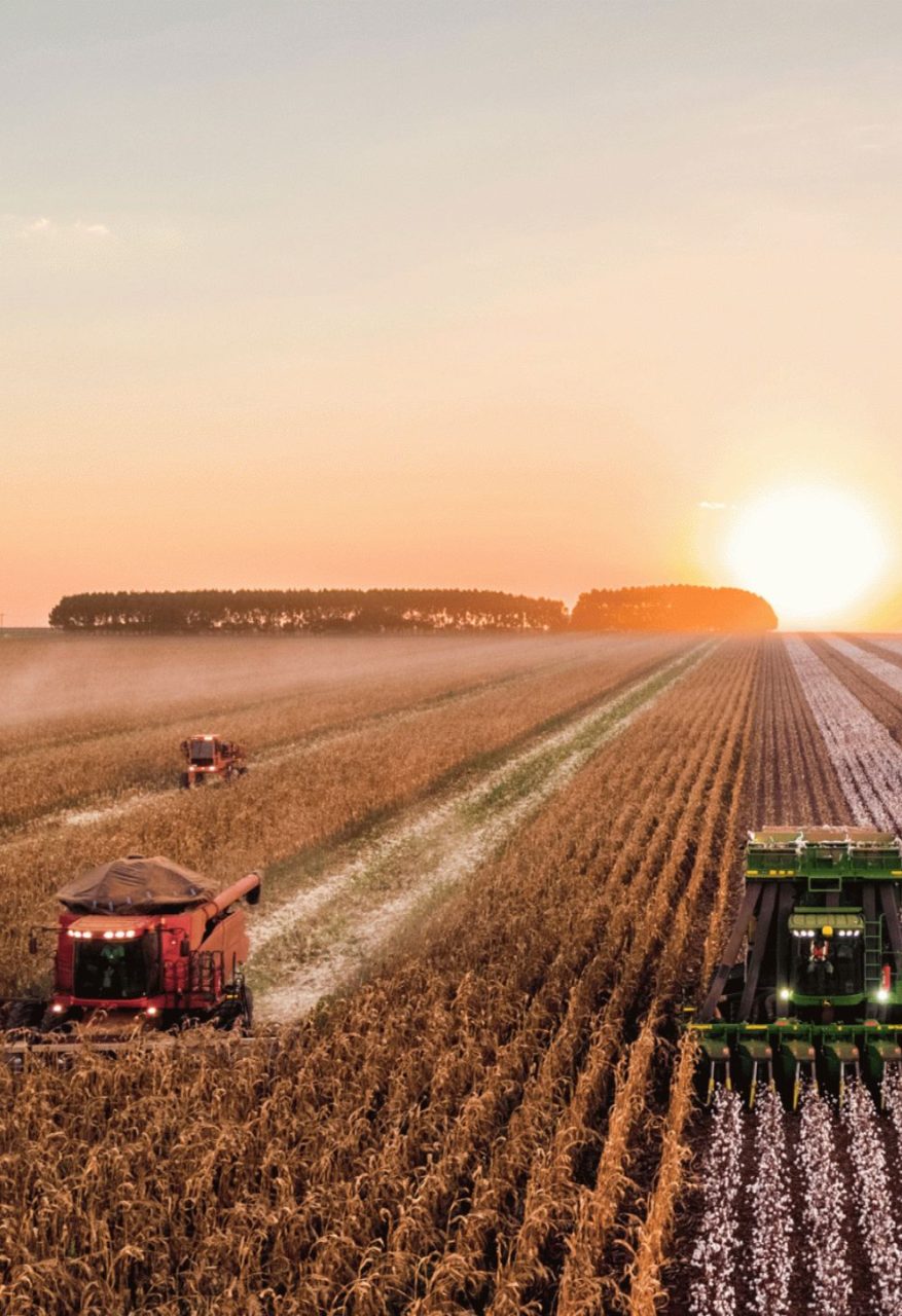 Agropecuária Brasileira