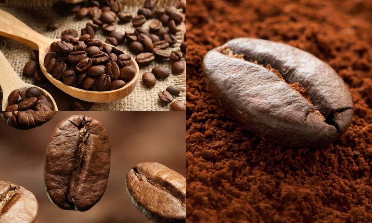 Brasil na Exportação de Café