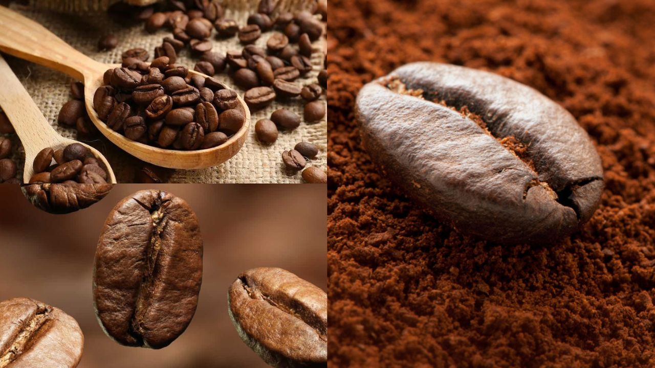 Brasil na Exportação de Café