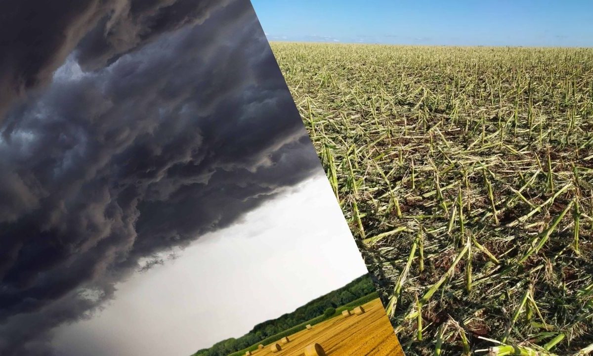 Cuidados nas Plantações contra Tempestades