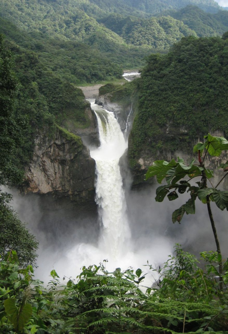 Importância da Amazônia