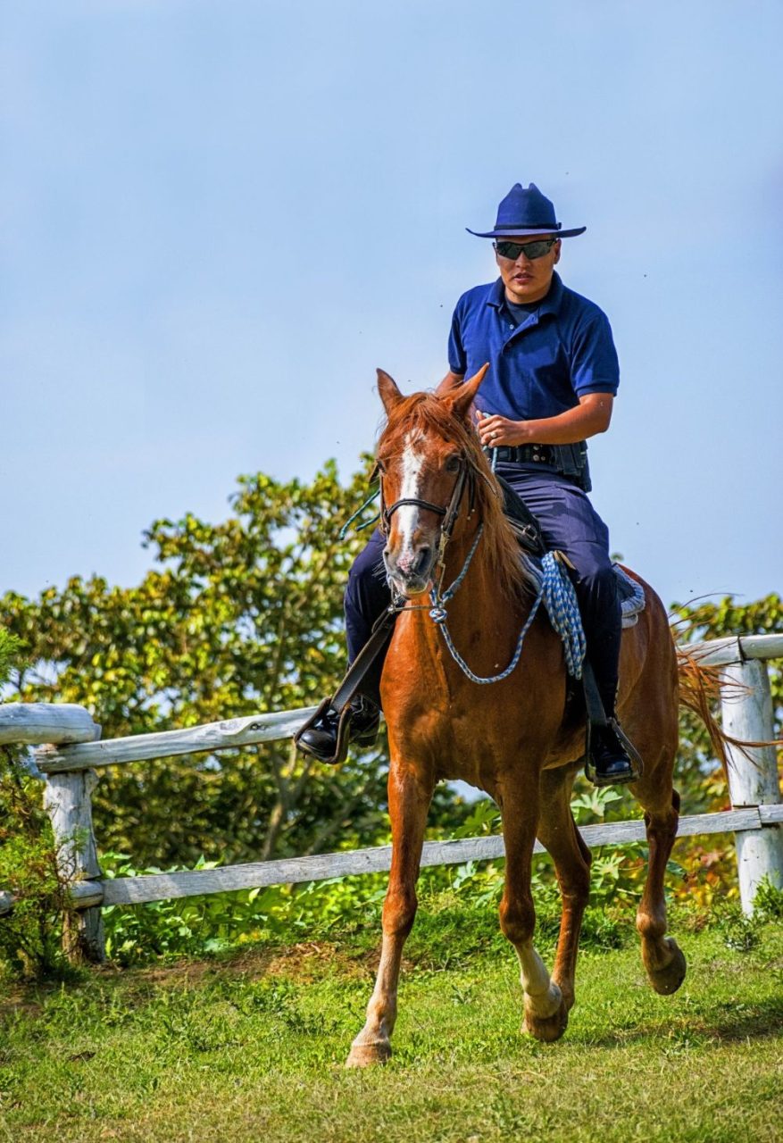 Por Que Começar a Andar a Cavalo