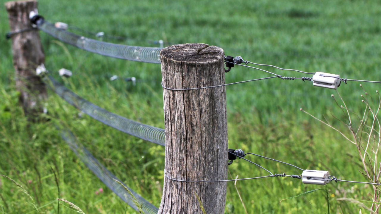 Instalação de Cerca Elétrica